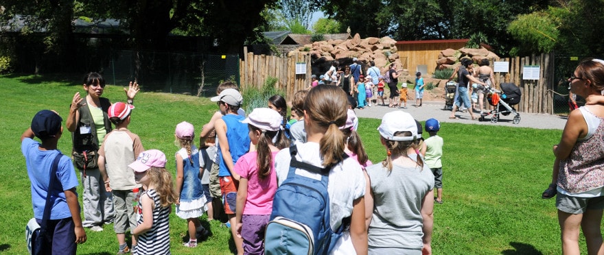 Ateliers d’été au Zoo