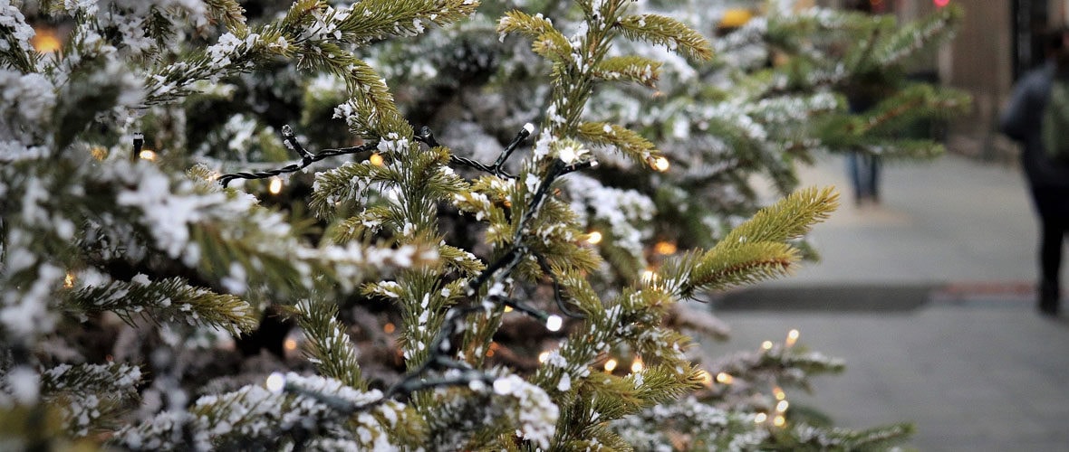 Des enclos à sapins contre les dépôts sauvages