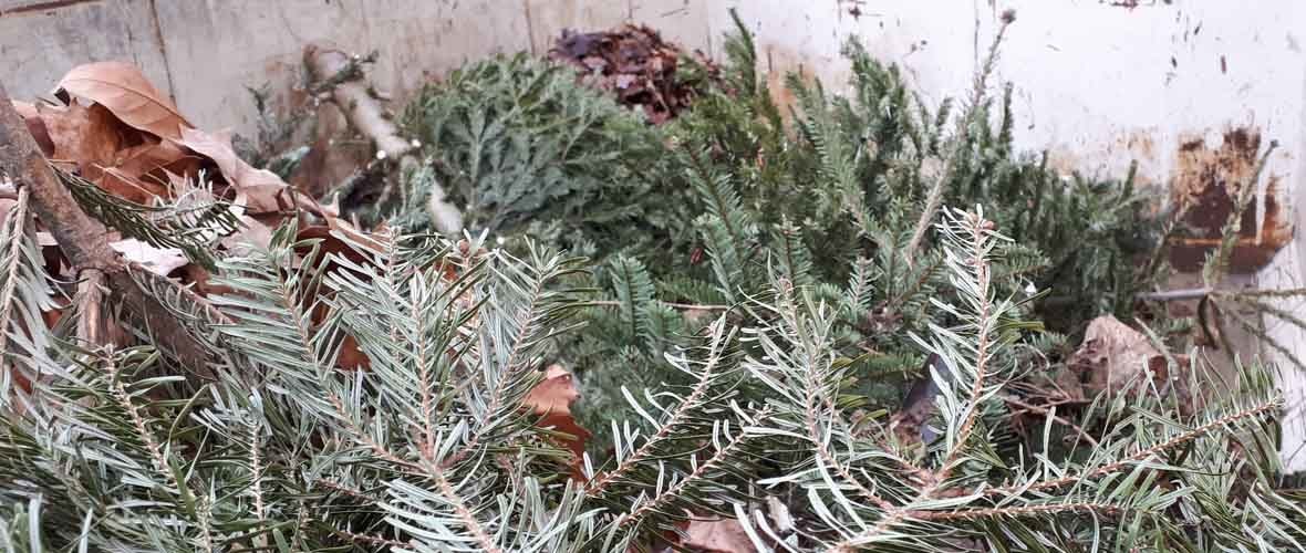 Des enclos à sapins pour lutter contre les dépôts « sauvages »