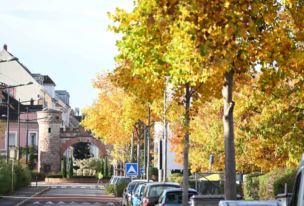 L’immobilier ancien, rénové ou non, reste à Mulhouse, en moyenne, moins cher qu’ailleurs. 