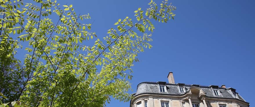 Objectif du mandat en cours : 3 000 plantations d'arbres.