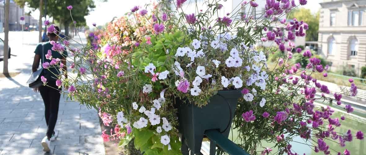 Label : et de « 4 Fleurs » pour la Ville de Mulhouse !