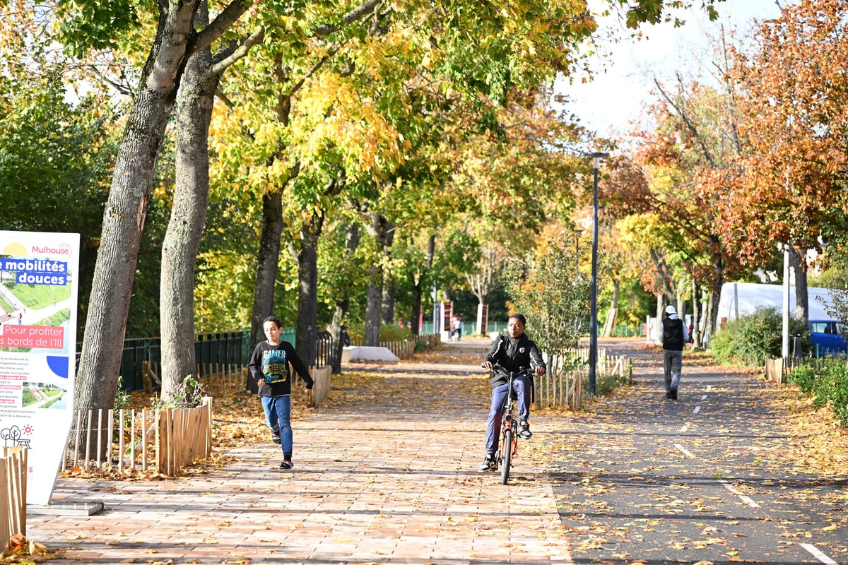 En photos : l'automne s'installe à Mulhouse