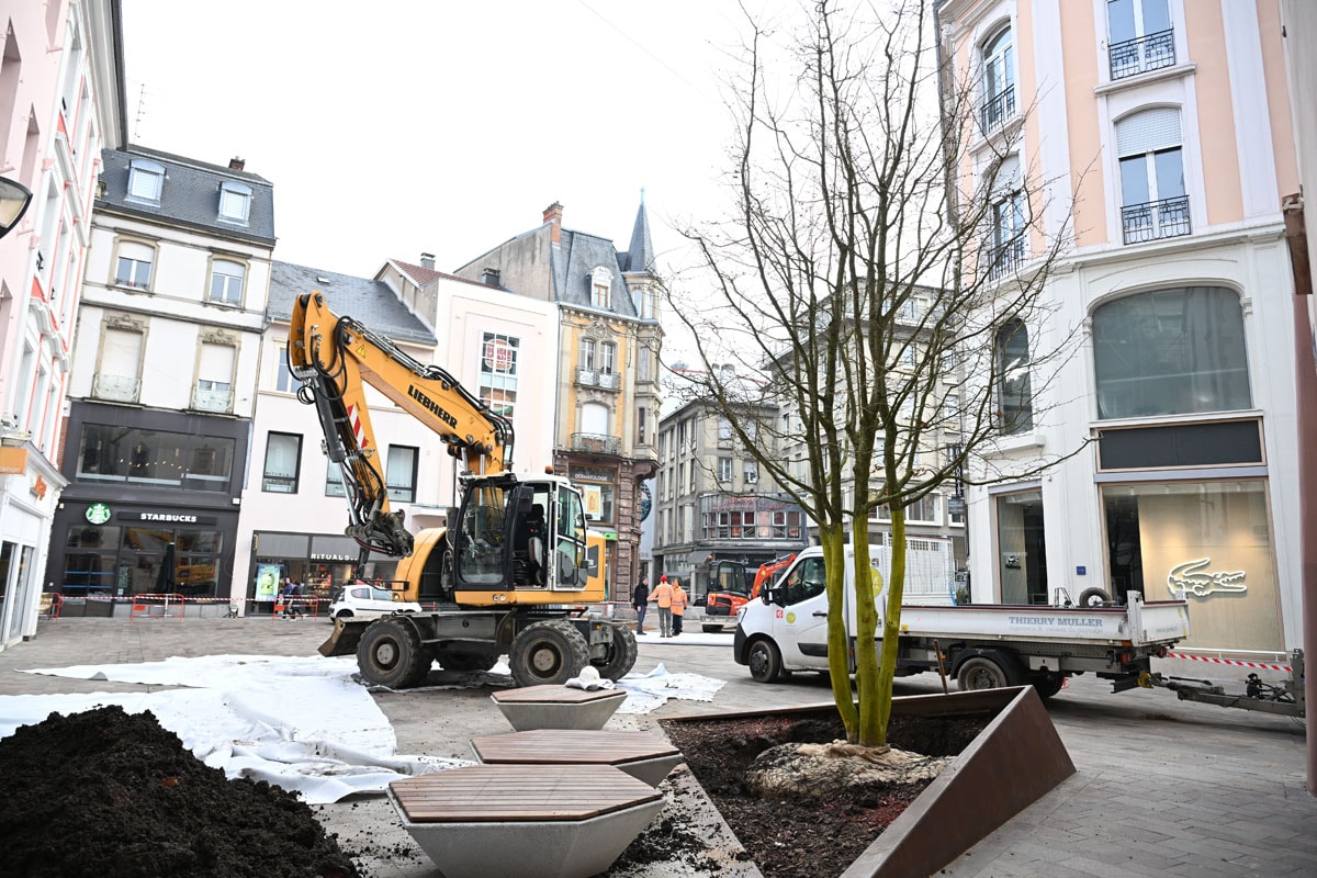 Un parrotia de 8 mètres de haut et de plusieurs décennies au compteur a été planté, côté rue Mercière.