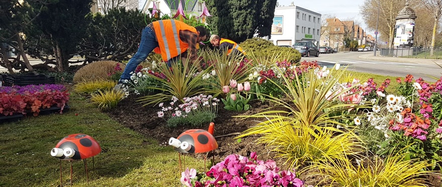 Massif fleuri à l’angle de l’avenue du Repos et de la rue Lefebvre.