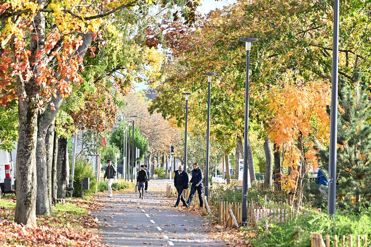 En photos : l'automne s'installe à Mulhouse