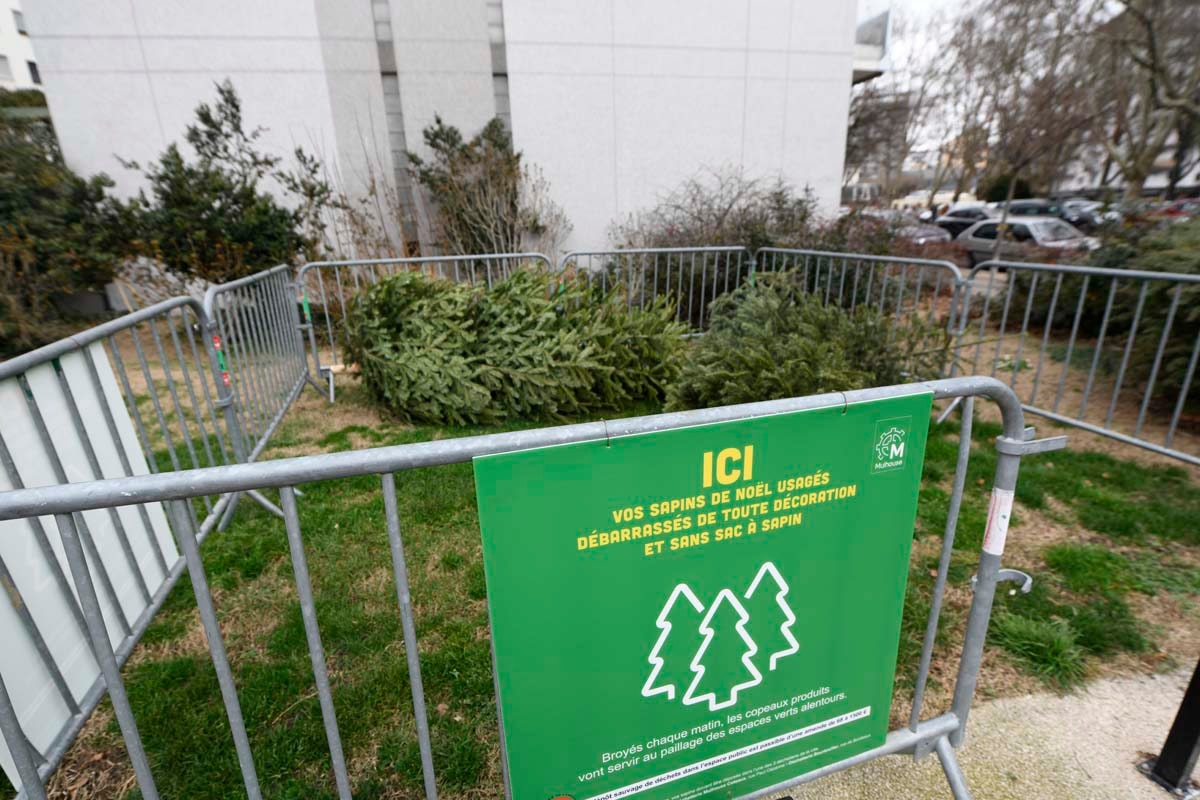 Où déposer votre sapin de Noël à Mulhouse ?