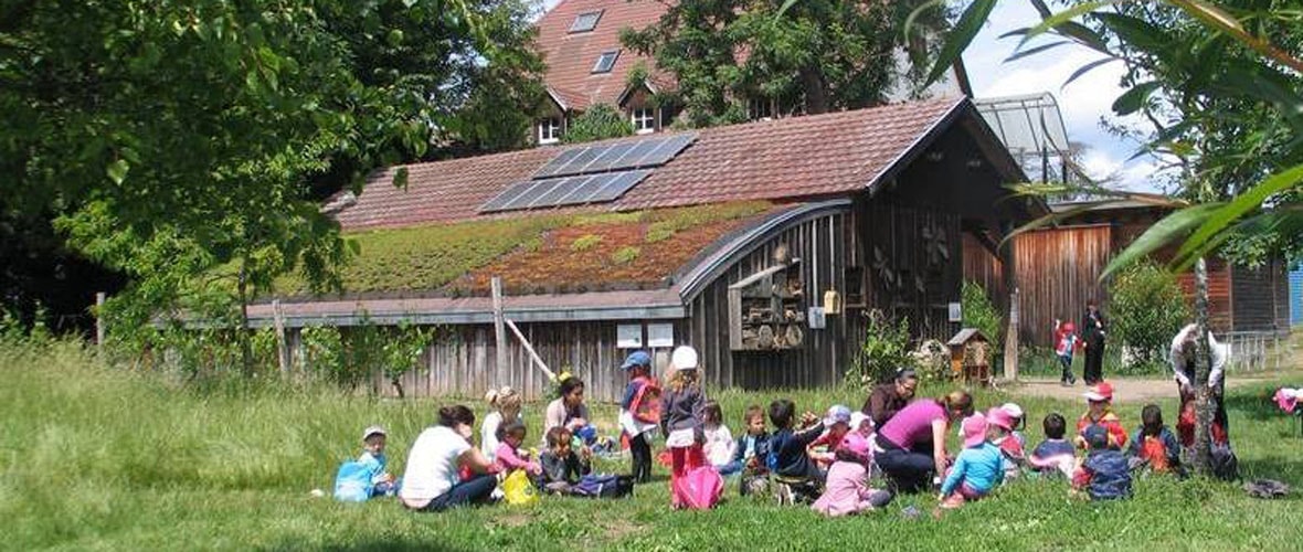Le Moulin Nature invite les jeunes Mulhousiens au grand air