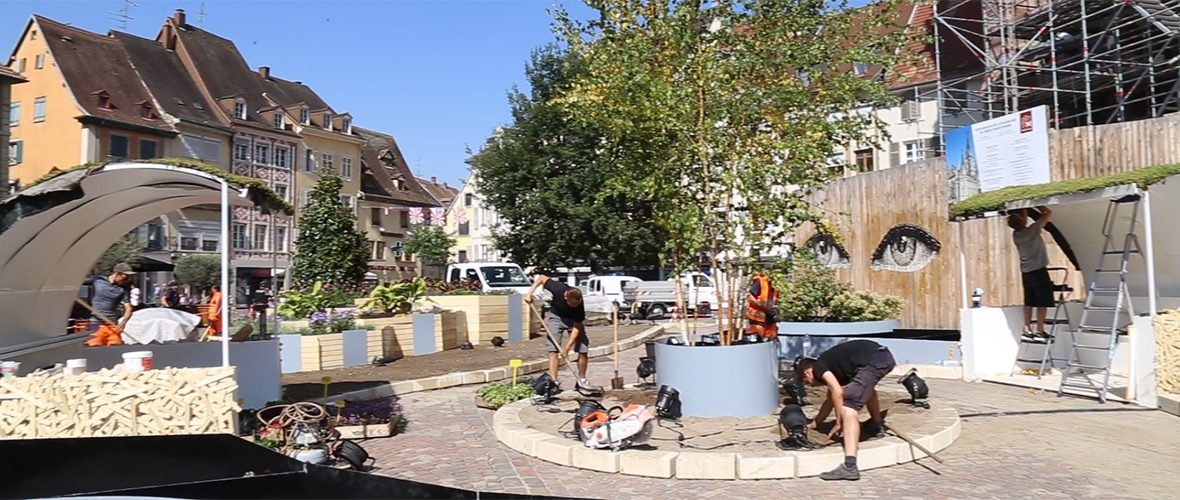 VIDEO : le Jardin éphémère prend ses aises, place de la Réunion