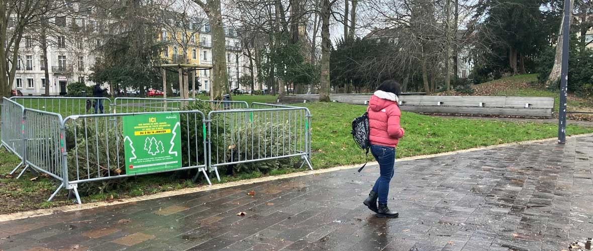 Pratique : 11 enclos pour déposer vos sapins de Noël