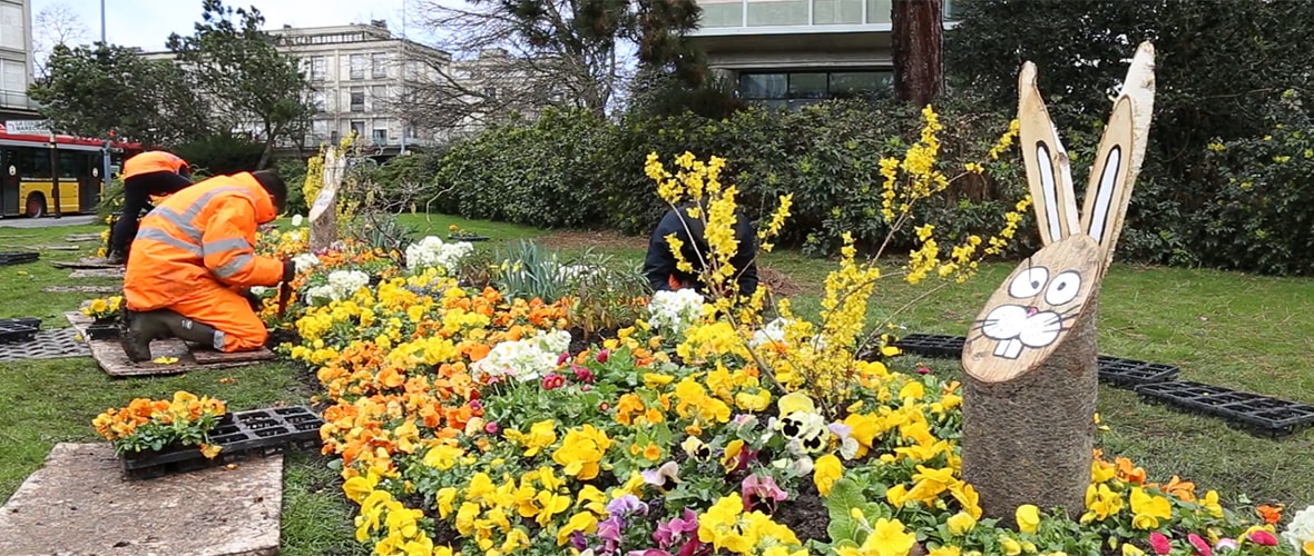 [VIDEO] Dans les coulisses du fleurissement de printemps