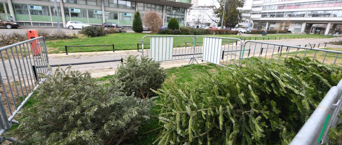 11 aires pour déposer son sapin après les fêtes