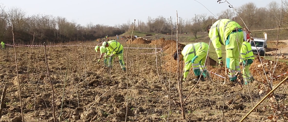 [VIDEO] 25 000 arbres plantés sur la promenade de la Doller
