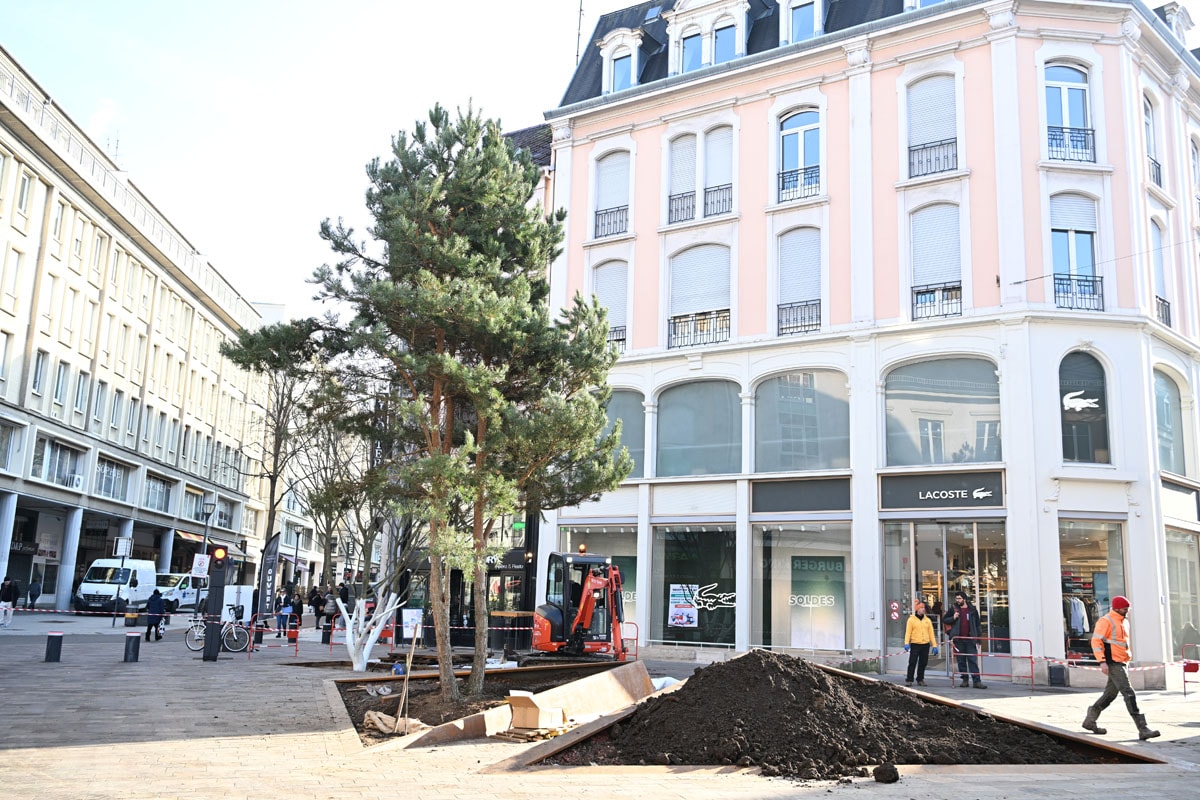 La nouvelle place des Victoires accueille désormais un magnifique pin.