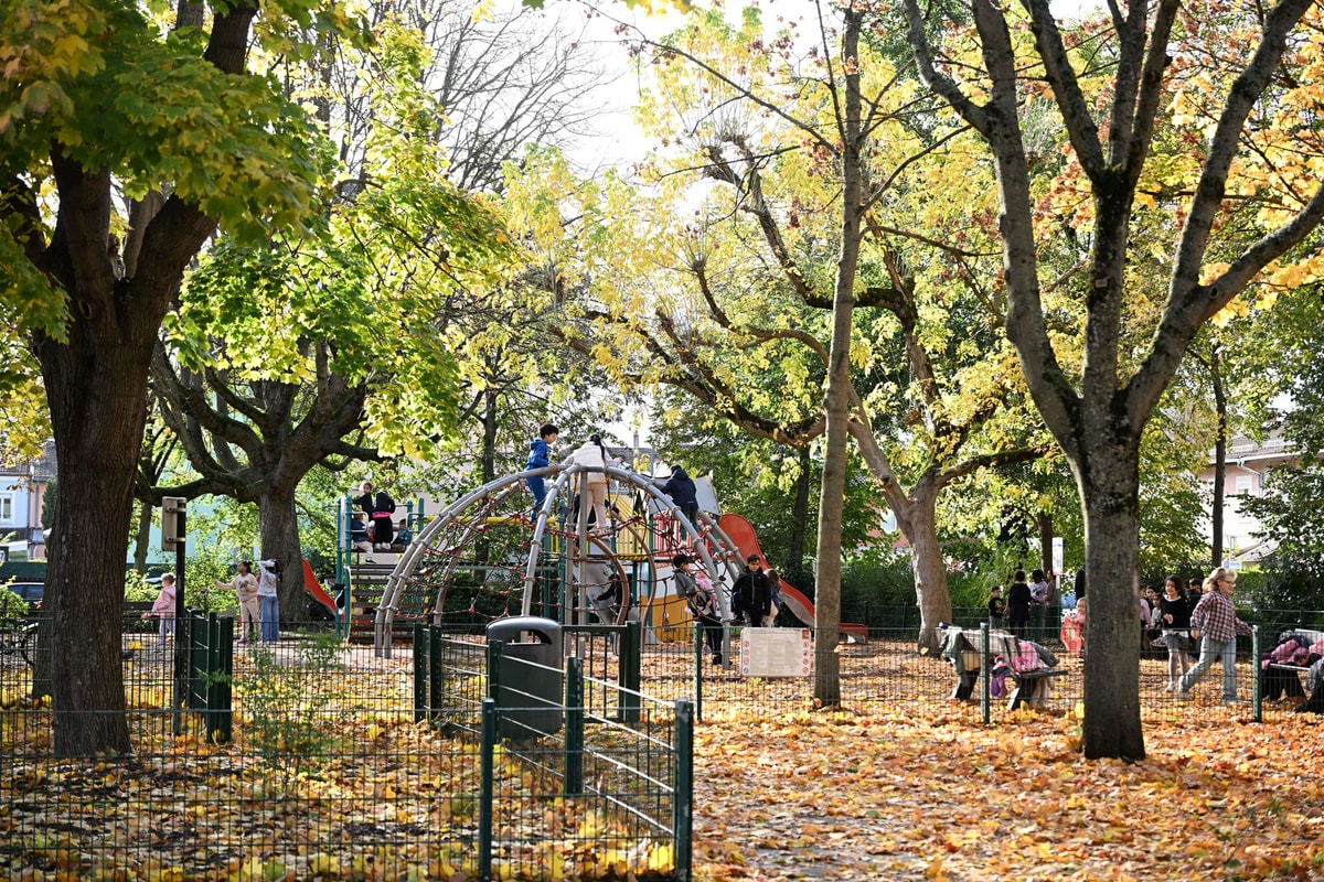 En photos : l'automne s'installe à Mulhouse