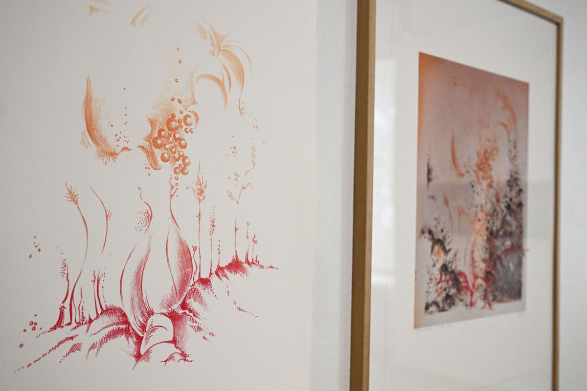 17 artistes y présentent leurs œuvres, comme ces lithographies de Dominique Lentz.  