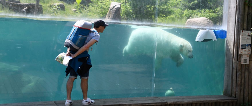 Au zoo, des animations seront proposées tout au long de la journée.
