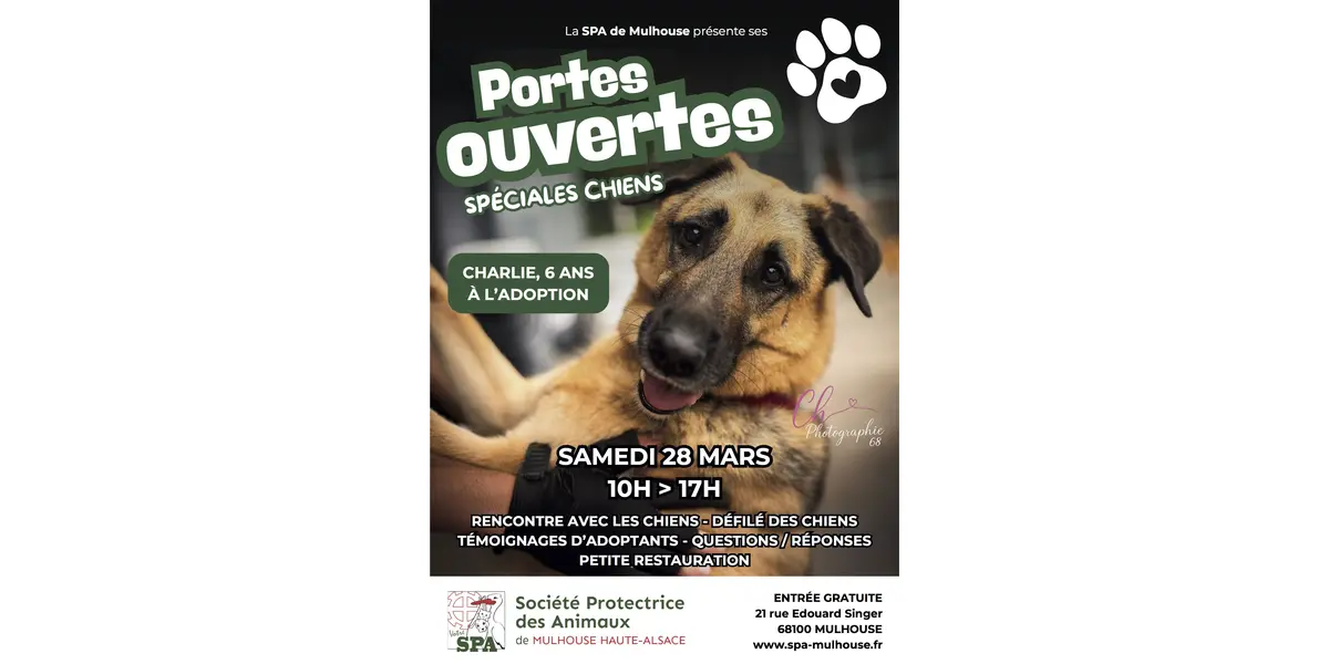 Portes ouvertes spéciales chiens à la SPA de Mulhouse