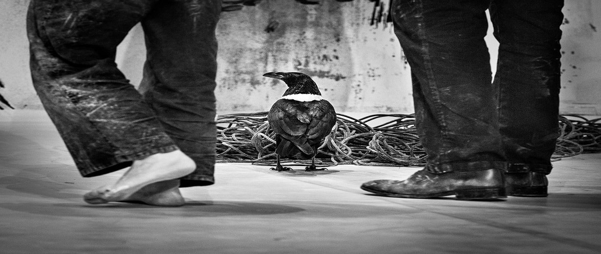 Là de la compagnie Baro d'evel