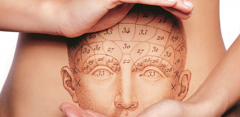 Projectionrencontre \"LE VENTRE, NOTRE DEUXIEMME CERVEAU \"