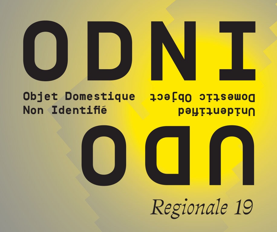 ODNI/UDO (Objet Domestique Non Identifié / Unidentified Domestic Object) - Régionale 19