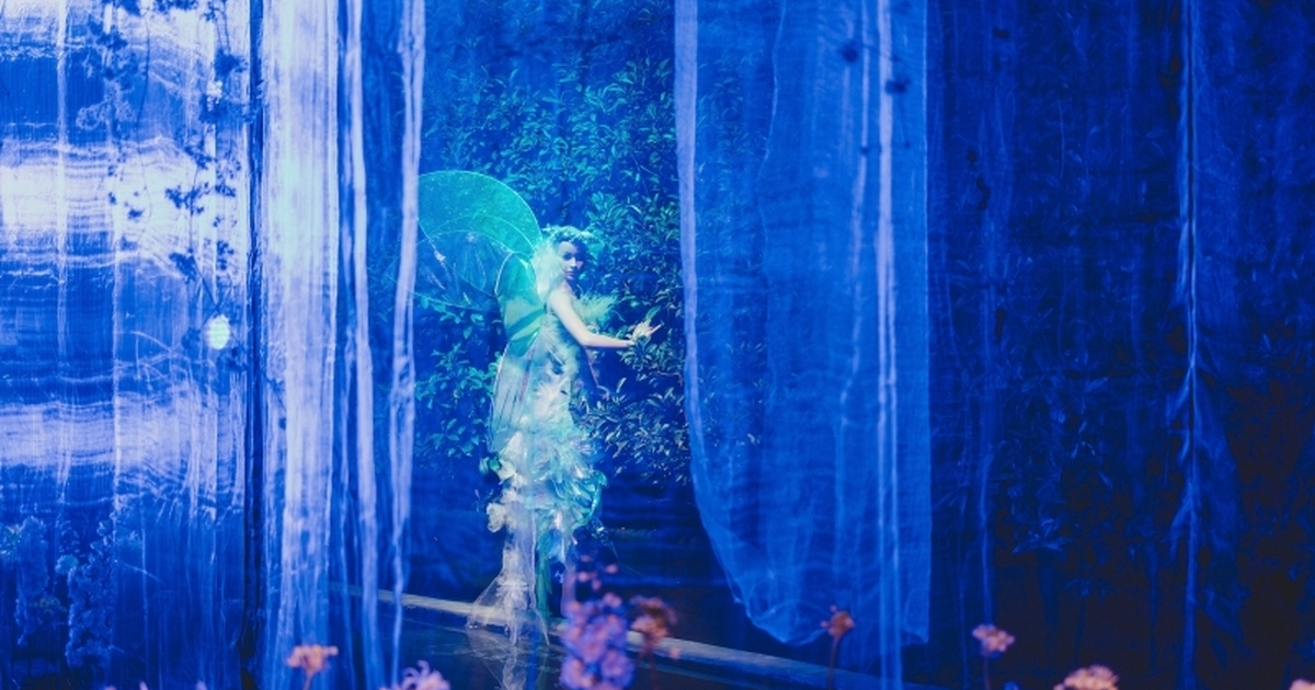 Le Ballet des Fées à Folie'Flore : une création florale signée Meilleur Ouvrier de France