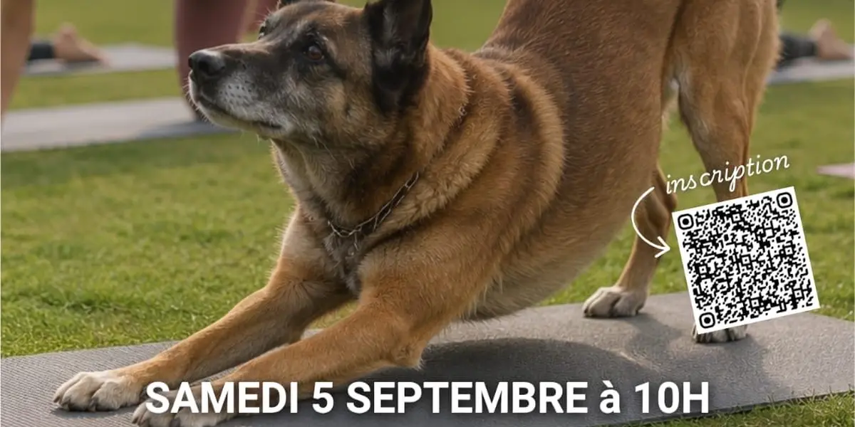 Pilates Solidaire