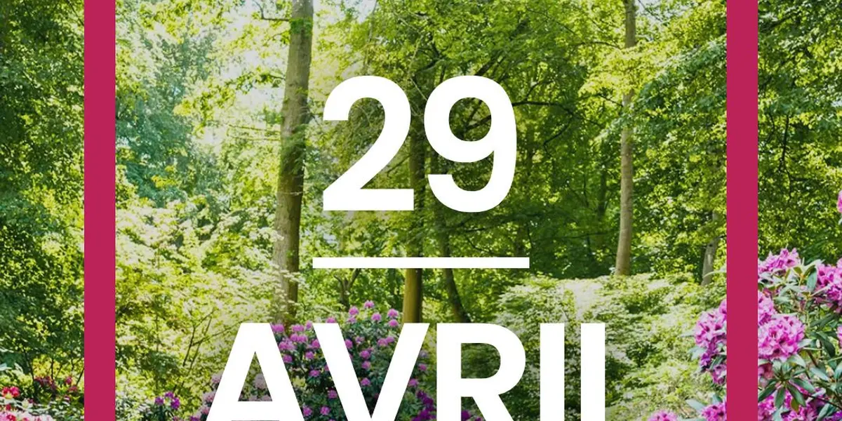 Entrainement 5 km Les Mulhousiennes au Zoo