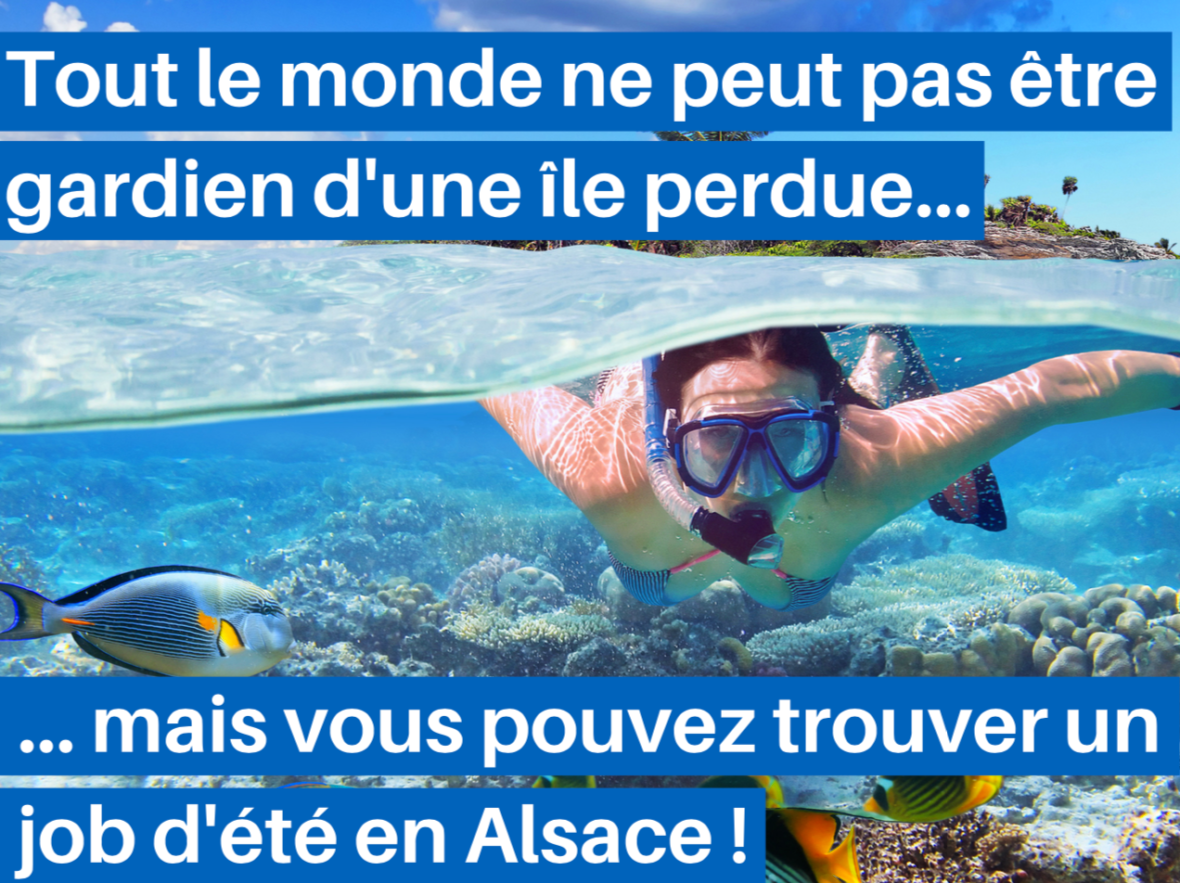 Jobs d'été