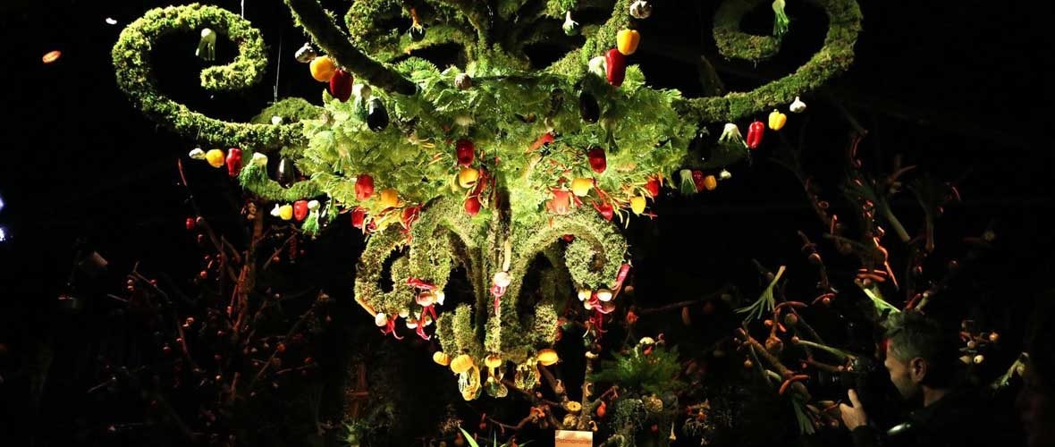 Journées d'Octobre - Folie'Flore 2019