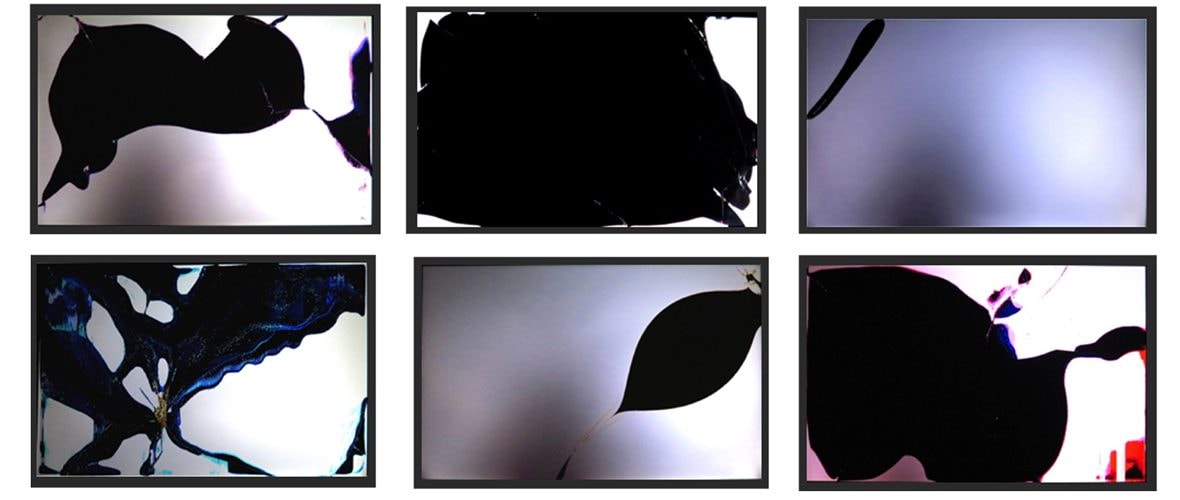 Exposition Cathode