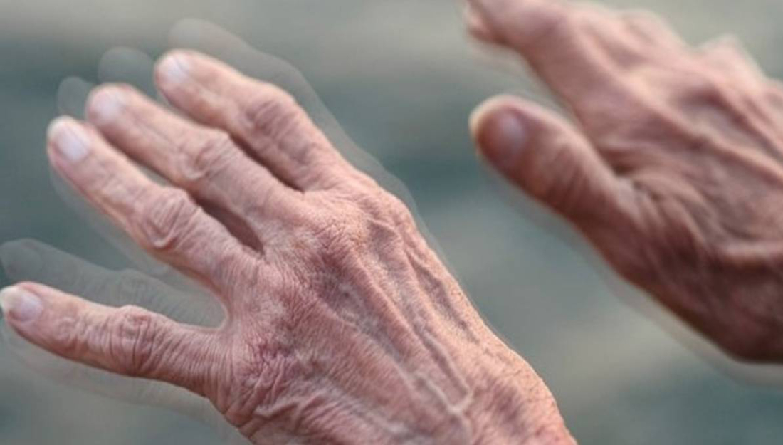Journée mondiale de la maladie de Parkinson 2022
