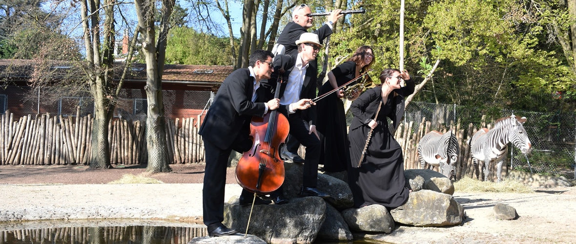 Concert symphonique #3 : Casse-noisette
