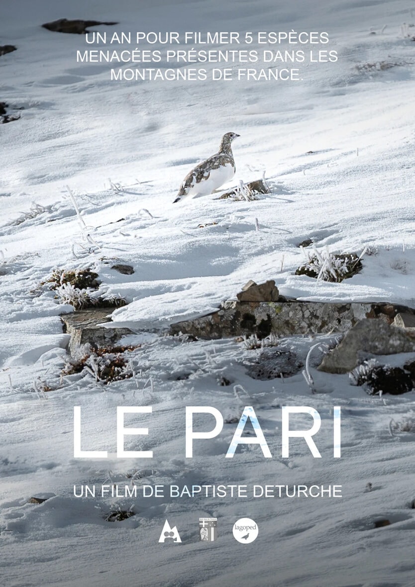 PROJECTION / RENCONTRE