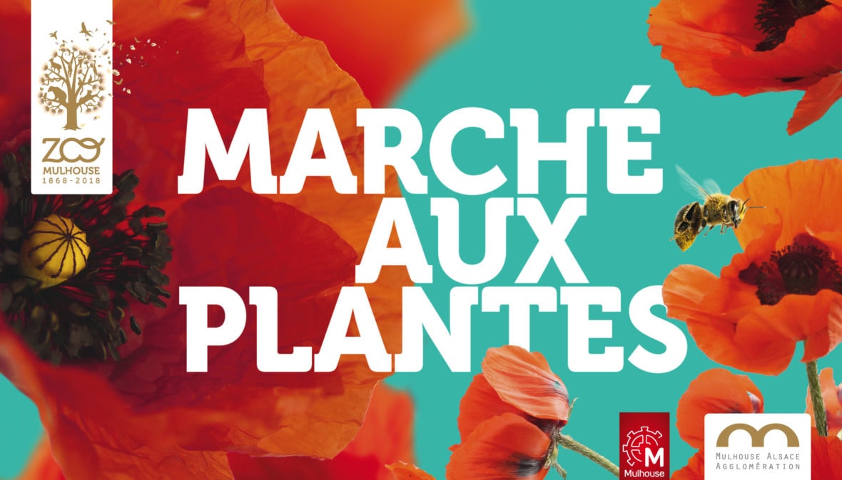 Marché aux plantes