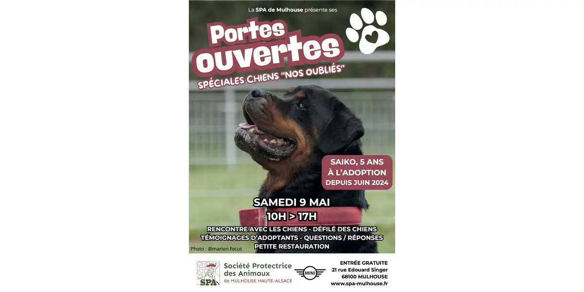 Portes ouvertes spéciales chiens "nos oubliés" à la SPA de Mulhouse