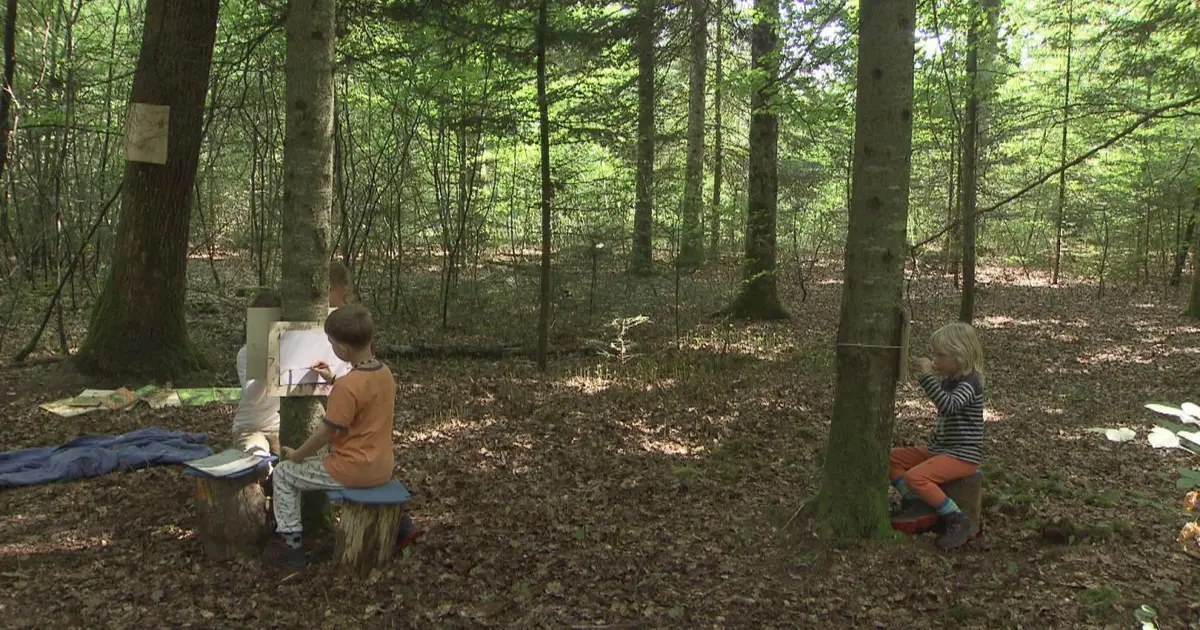 Projection "La forêt pour école" à la médiathèque La Filature