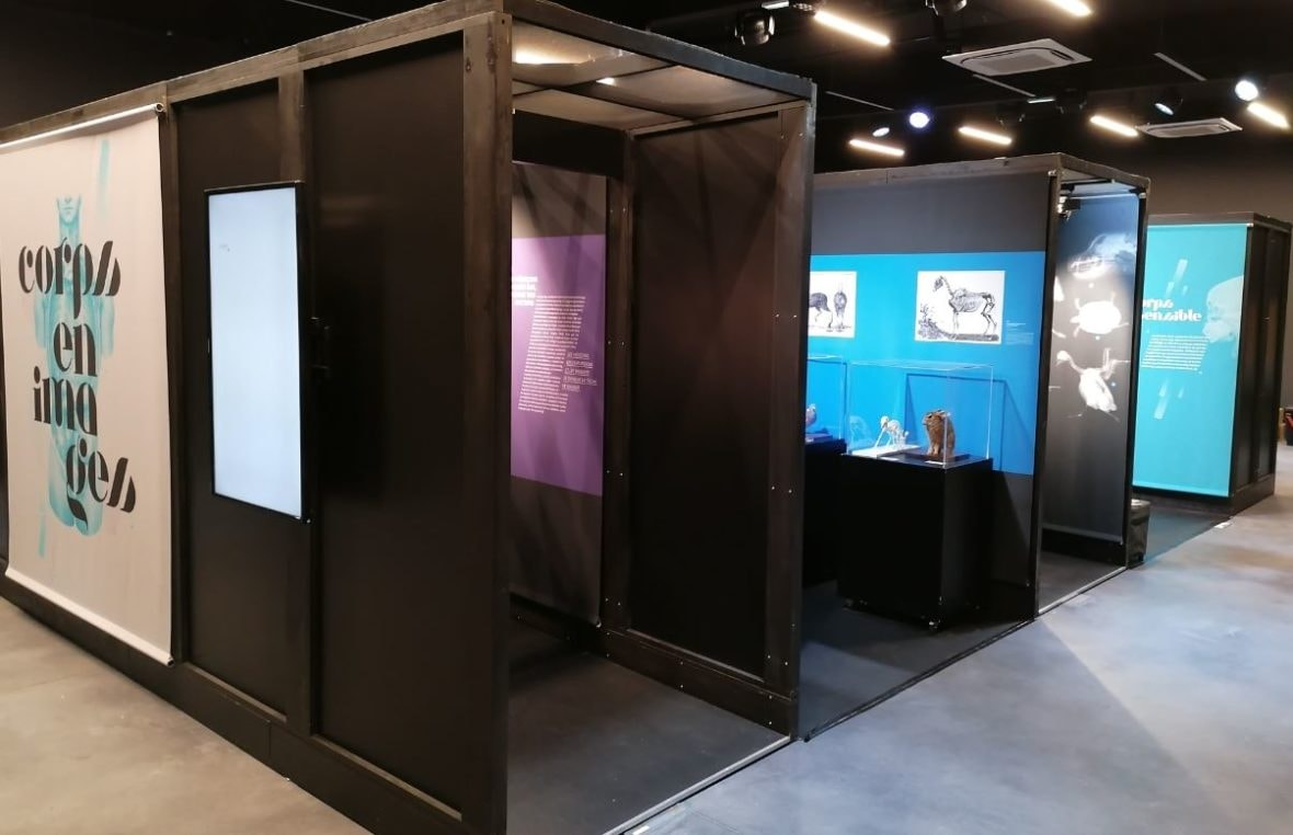 Expositions à la Nef des sciences