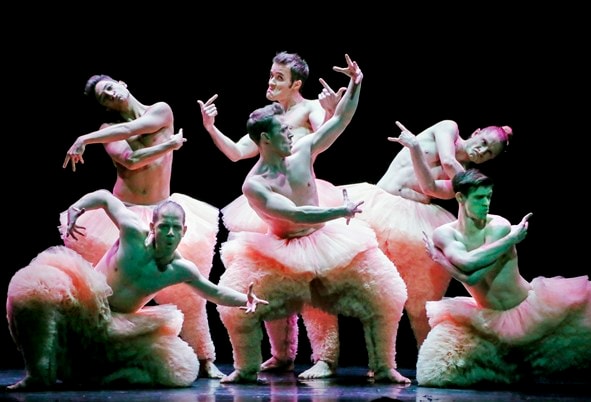 TUTU - Chicos Mambo / Philippe Lafeuille