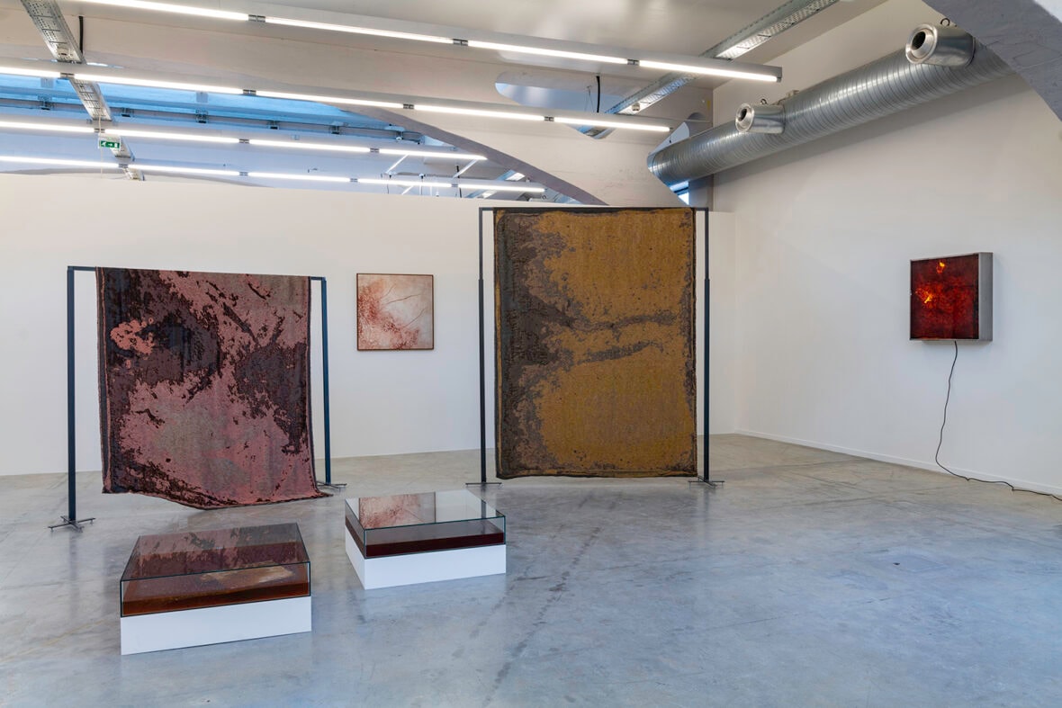 Visite commentée de l'exposition "Alchimia Nova"