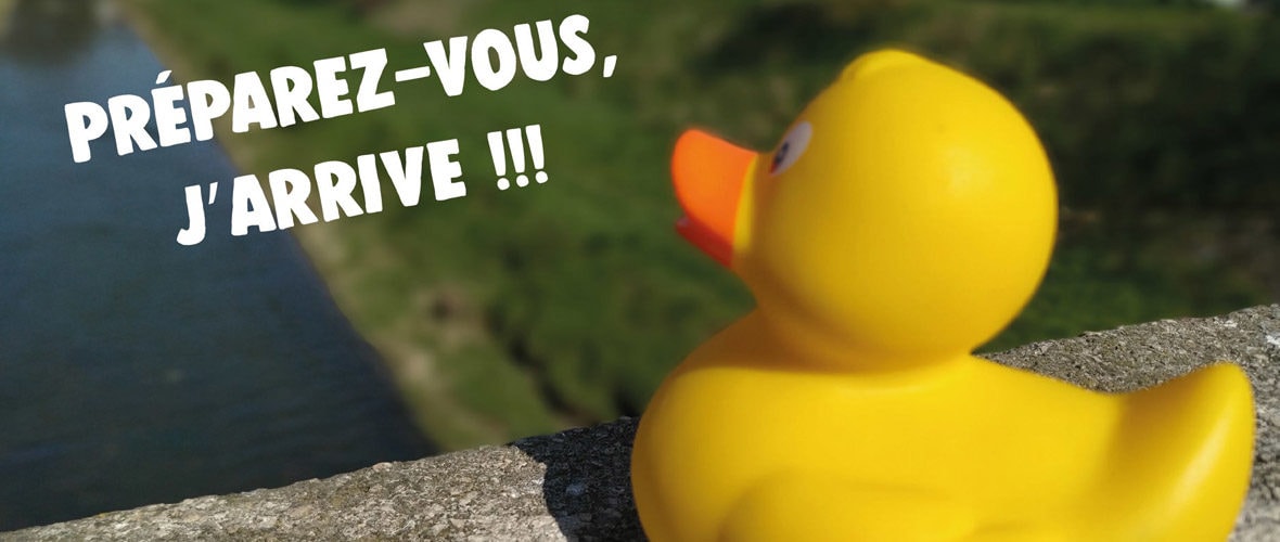 Duck Race : 770 m de course pour 12 000 canards en… plastique !