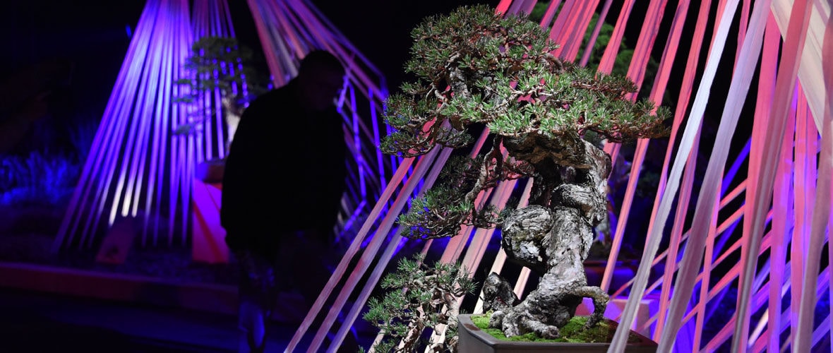 Folie'Flore, le show floral