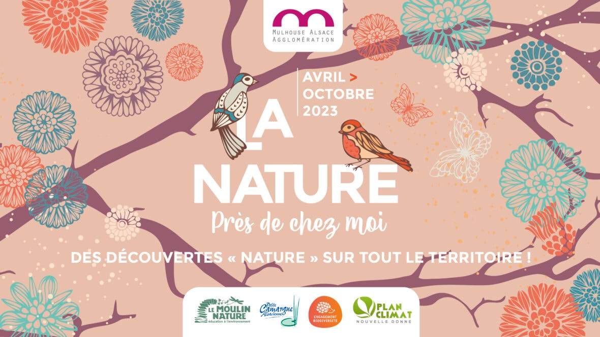 La nature près de chez moi