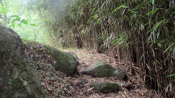 Introduction au chemin bouddhiste