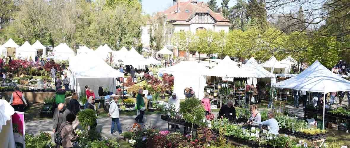 17e édition du Marché aux plantes