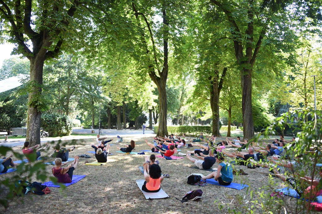 Animations sportives estivales