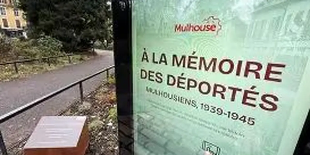 17 Mai - Journée mondiale contre l’homophobie, la transphobie et la biphobie.