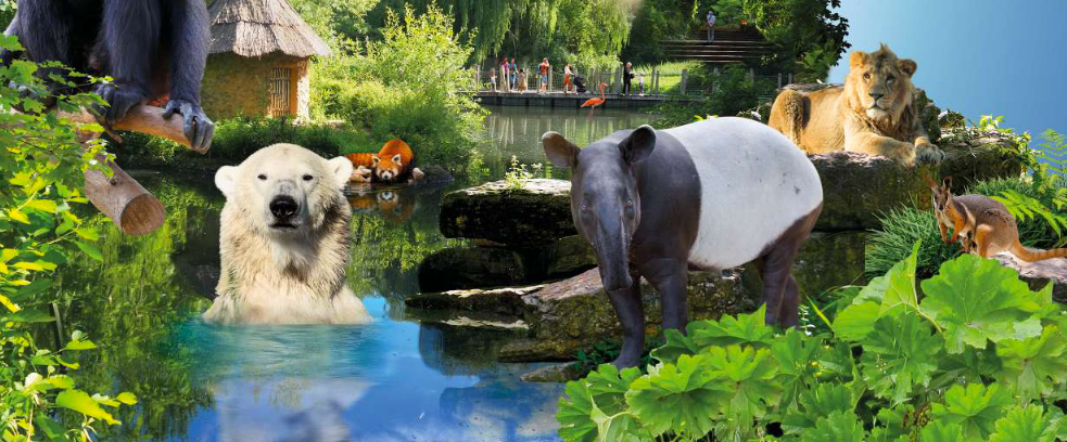 «Anthropocène  et  crise  de  biodiversité»