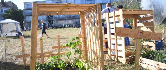 Parmi les propositions : des ateliers jardinage.