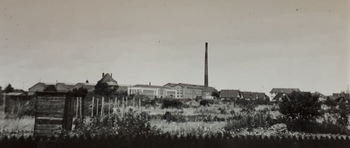 Vue de La Tuilerie, en 1953.